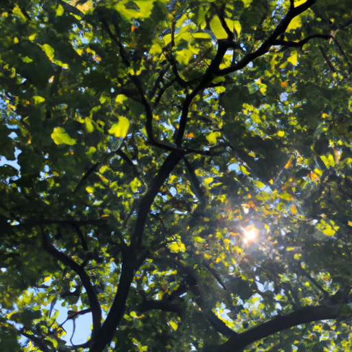 आहार और सुरक्षा पर ध्यान दें